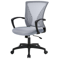 FDW Home Office Chair: $119