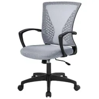 FDW Home Office Chair: $119 $53 @ Amazon
