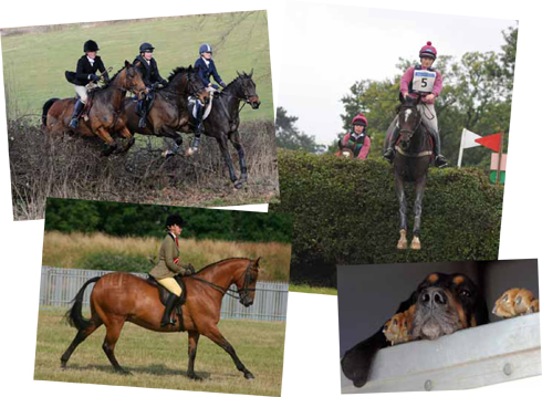 PhotoMontage2.jpg