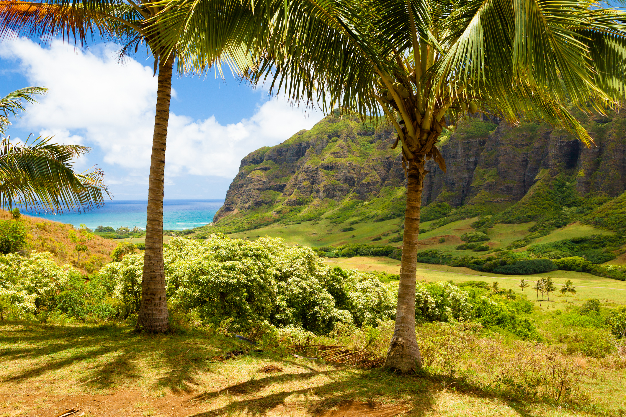 Oahu Hawaii &amp;quot;Ka&#039;a&#039;awa Valley &amp;quot; in summer