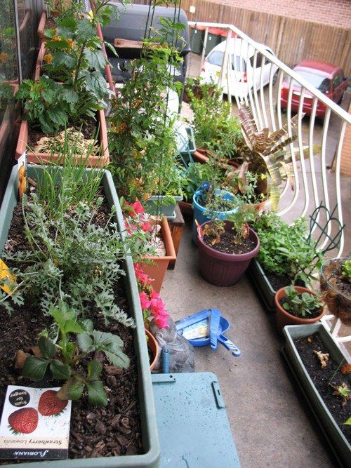 apartment garden1