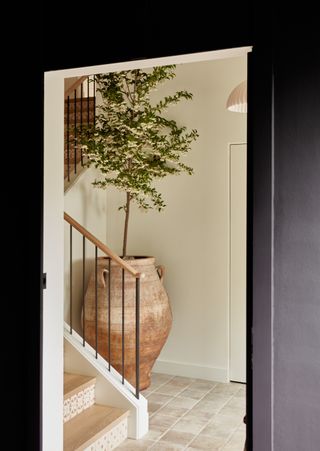 statement indoor tree in awkward entryway by Lisa Staton