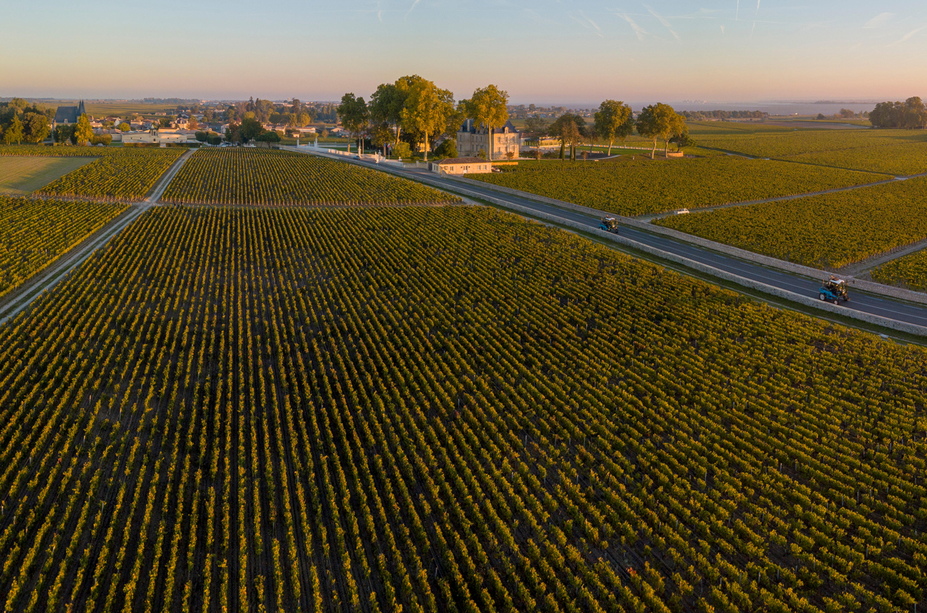 Pauillac 2020