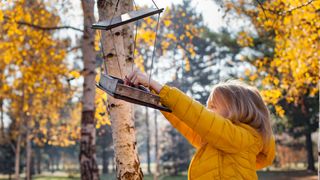 Little hanging a bird feeder outside