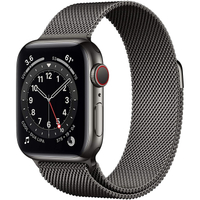 Apple Watch Series 6 - Graphite (Stainless Steel, Milanese Loop): was $749 now $699 @ Amazon