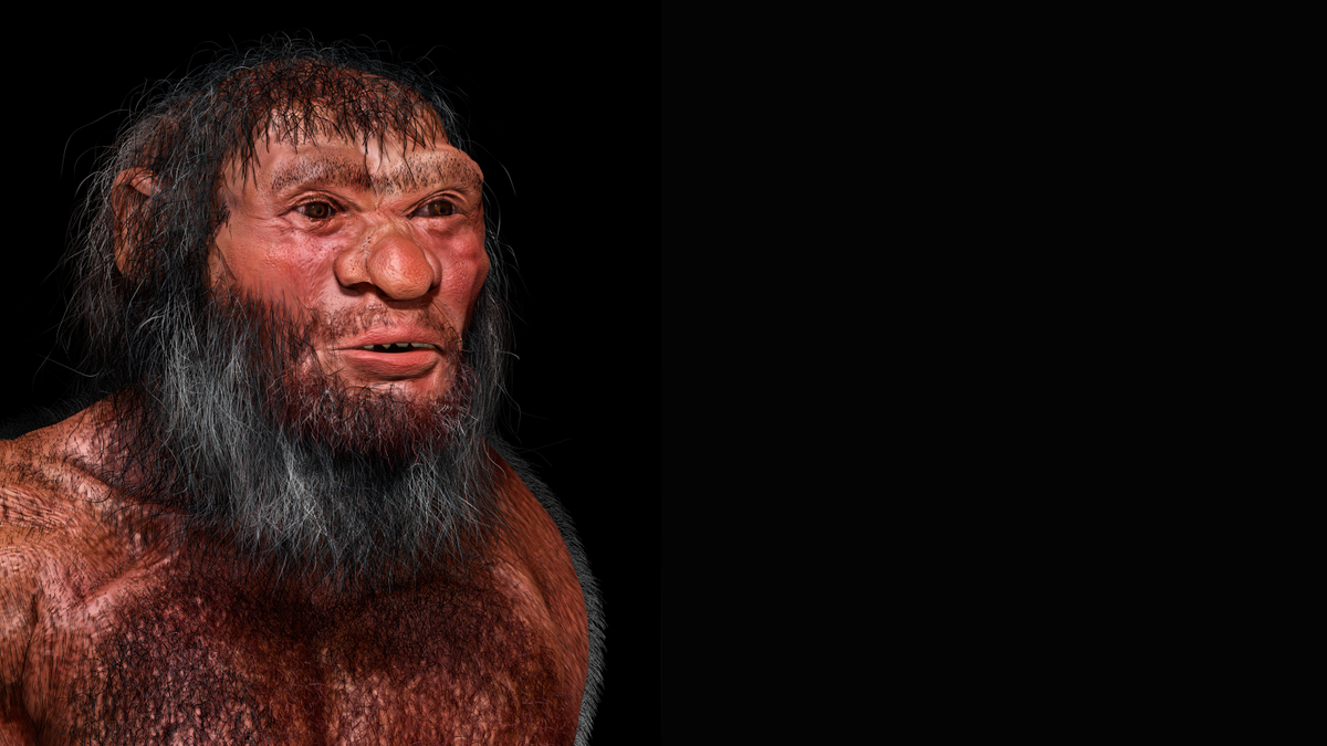 Ancient 'Dragon Man' skull from China isn't what we thought