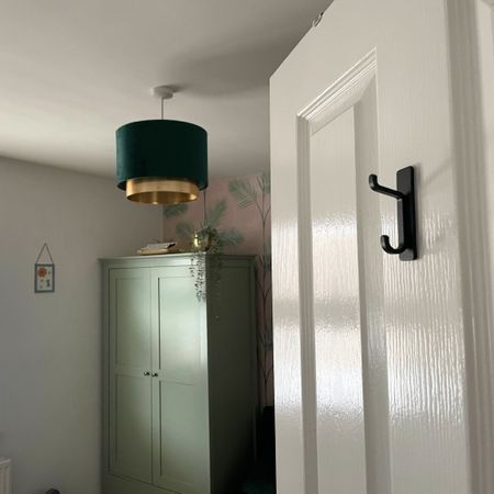 Black double coat hook on a white door with a green wardrobe in the background