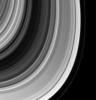 Saturn's Moon Pandora with the Rings