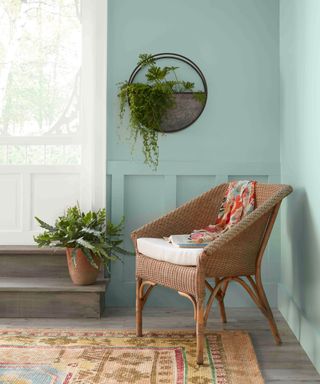 Corner of a hallway with blue painted walls and paneling, natural, woven armchair with seat cushion, colorful patterned rug on dark wood flooring, wall mounted plants in rounded pot, plant pot on step beside chair, light and bright space