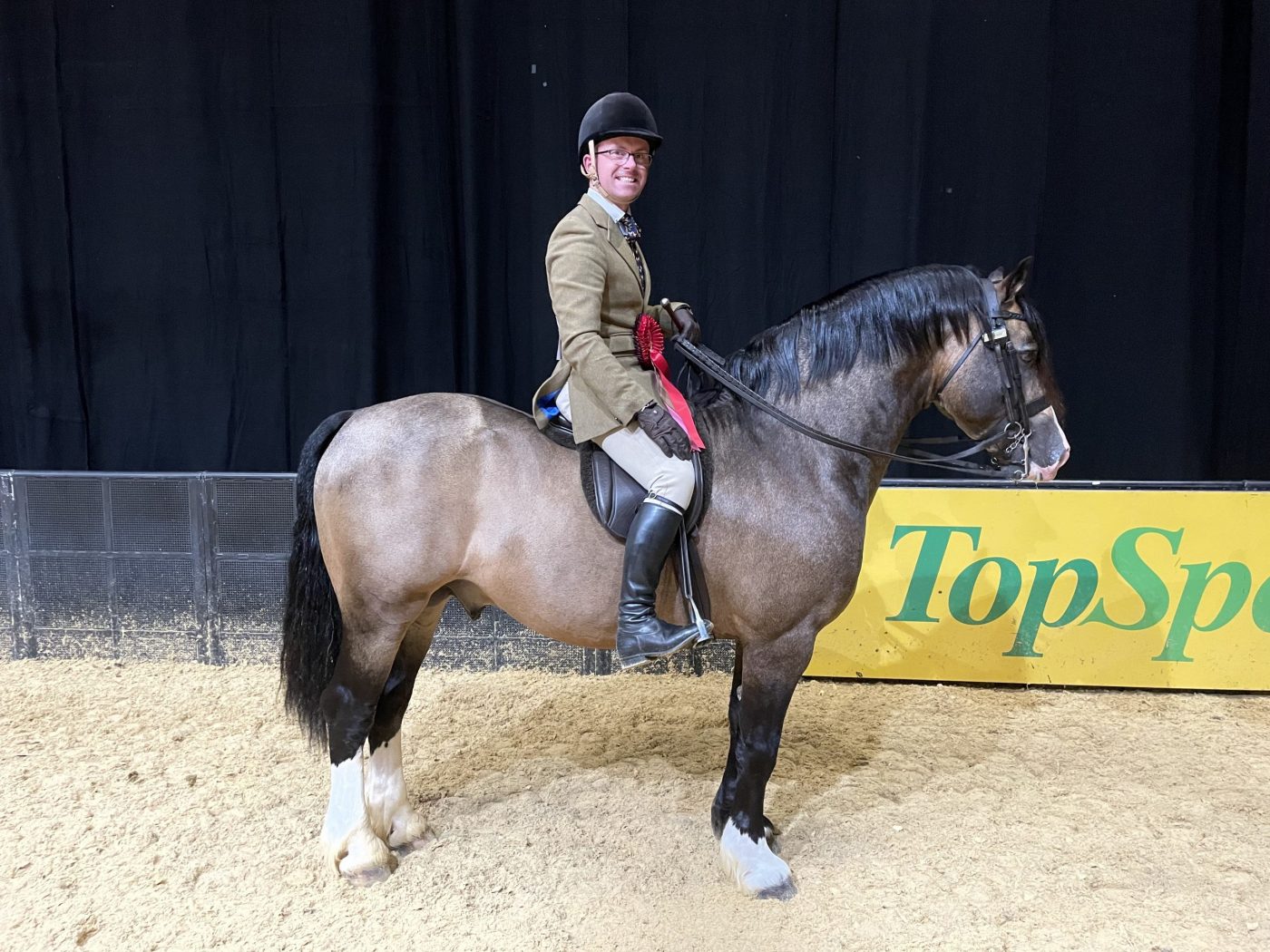 Adam Forster and Menai Eurostar won the M&amp;amp;M Welsh sec D the HOYS 2021