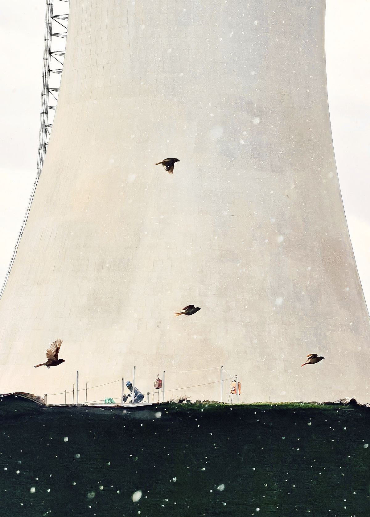 Oppo Photography Awards 2025 winning entries