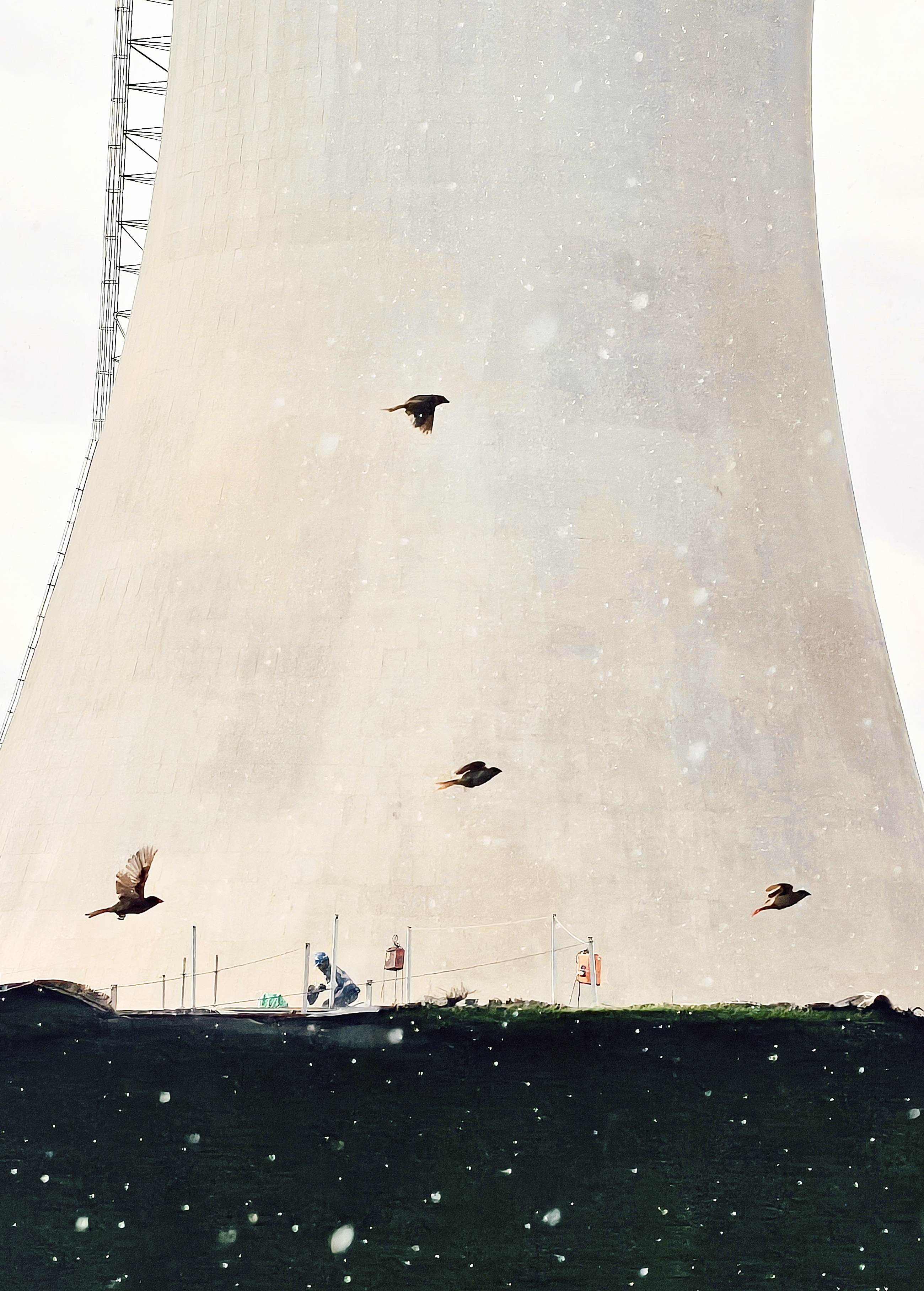 Oppo Photography Awards 2025 winning entries