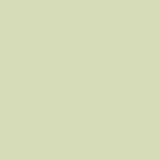A light green square in the Benjamin Moore shade sweet caroline 478