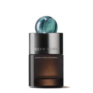 XaSGHcpPPpiccGAsKwBLV3-320-80 8 العطور البحرية التي رائحة مثل ملاذ ساحلي