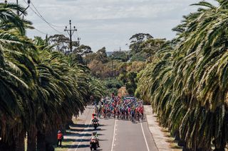 Riders take on stage two at the Tour Down Under 2024