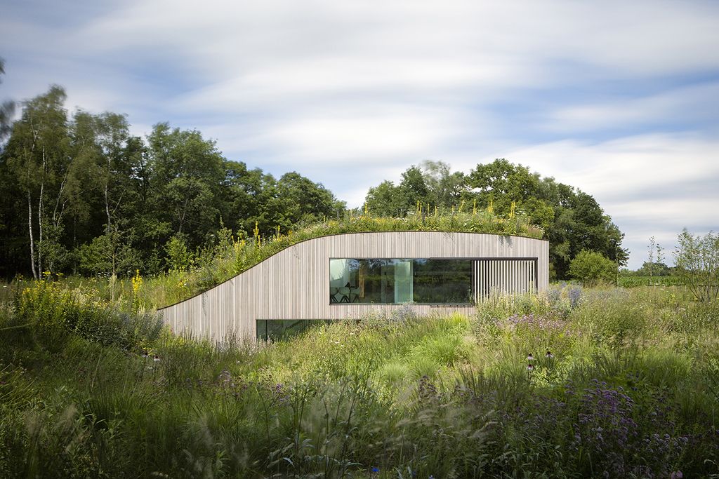 modernist house on hill