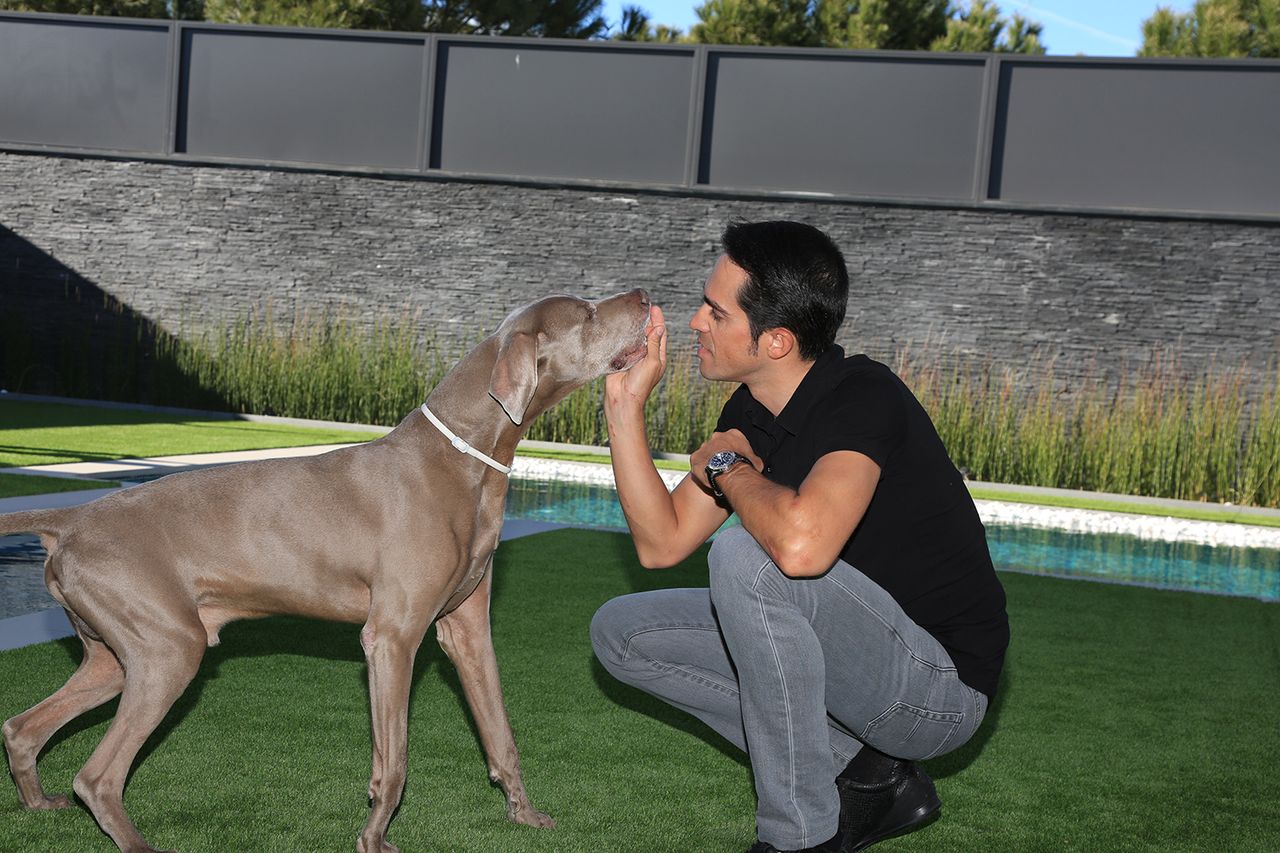 Alberto Contador with his beloved dog, Tour.