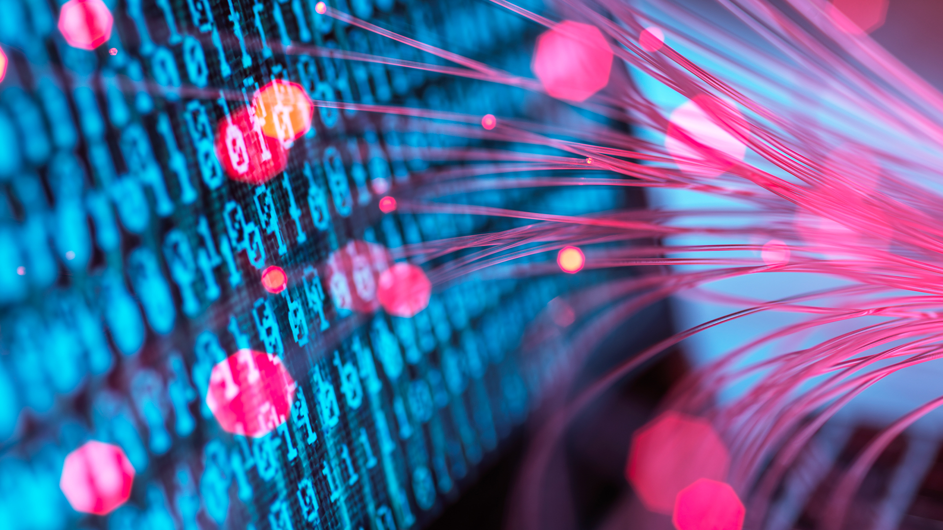 Blue-colored binary code on a computer screen with pink fiber optic cables touching screen. 