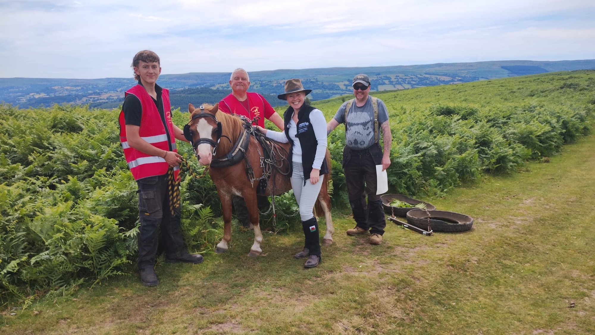 People and a pony standing on a bracken-covered hillside