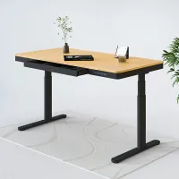 Flexispot Q8