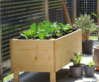 A raised bed on a balcony