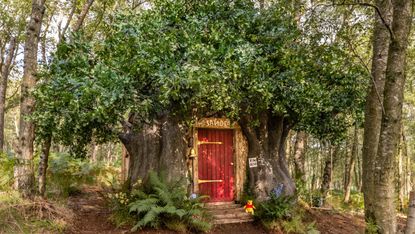 Winnie the Pooh Airbnb in Ashford Forest, England.