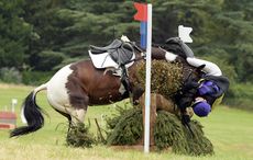 GATCOMBE-2016-fall-7-8-16-1.jpg