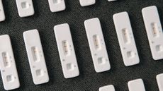 Rows of Covid-19 rapid tests on gray background