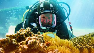 Steve Backshall in diving gear looking closely at fish and coral
