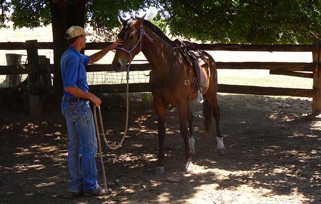 Jason-Webb-3yos