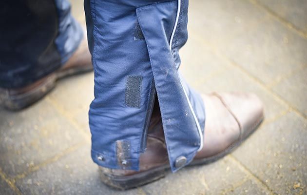 Just Chaps Waterproof Riding Trousers review