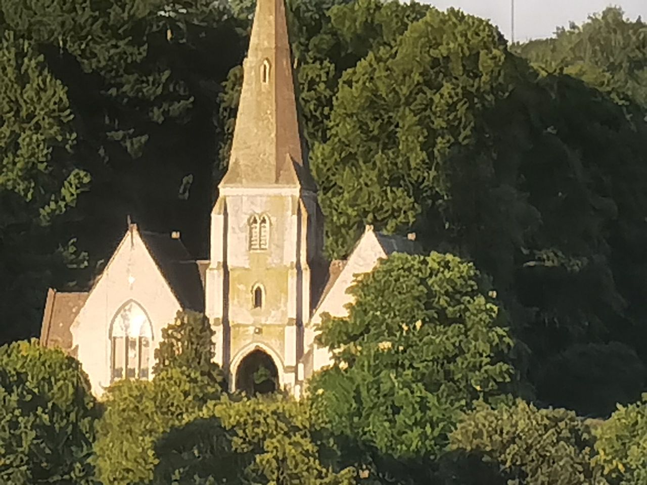 50x digital zoom