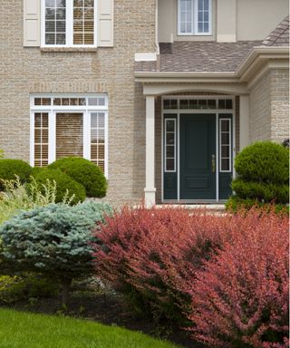 Shrubs planted in front of house