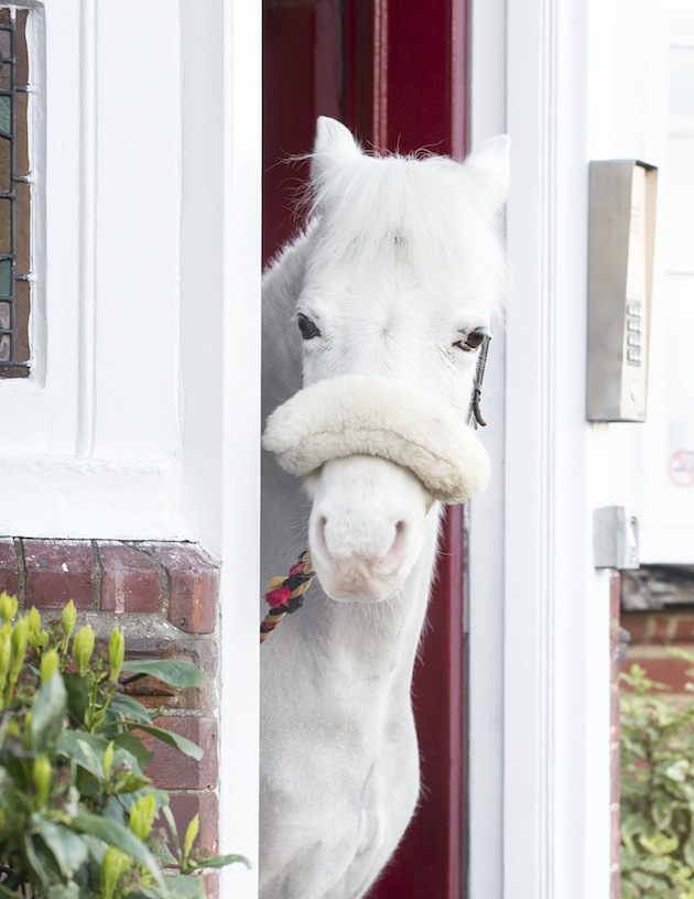HomemeadPonyVisit-JMF-016