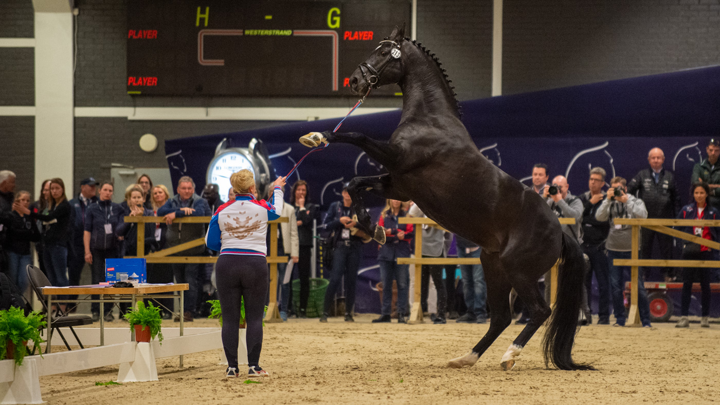 GOTHENBURG19_FEI_WCF_DR_INSP_RUS_ISACHKINA-115741.jpg