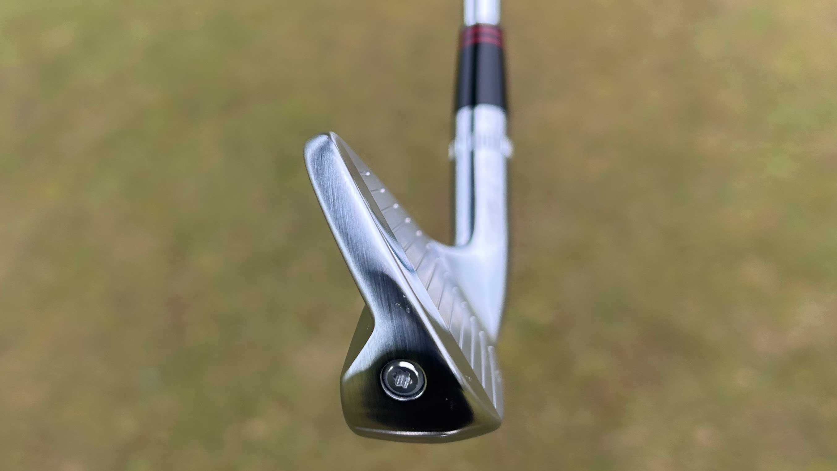 Photo of the Ben Hogan Legend irons from the toe