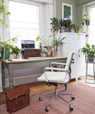A modern traditional home office with houseplants and white office chair