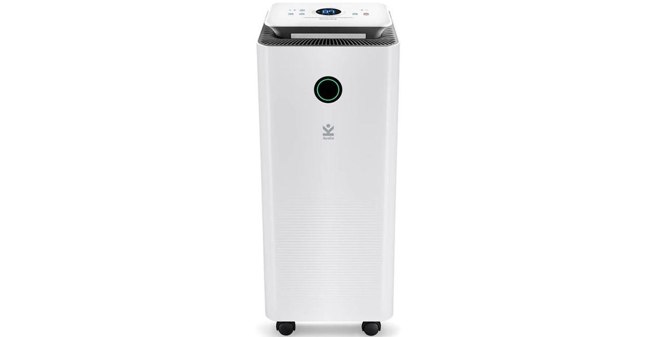 These Are The Best Dehumidifiers To Eliminate Damp And Mould | Woman & Home