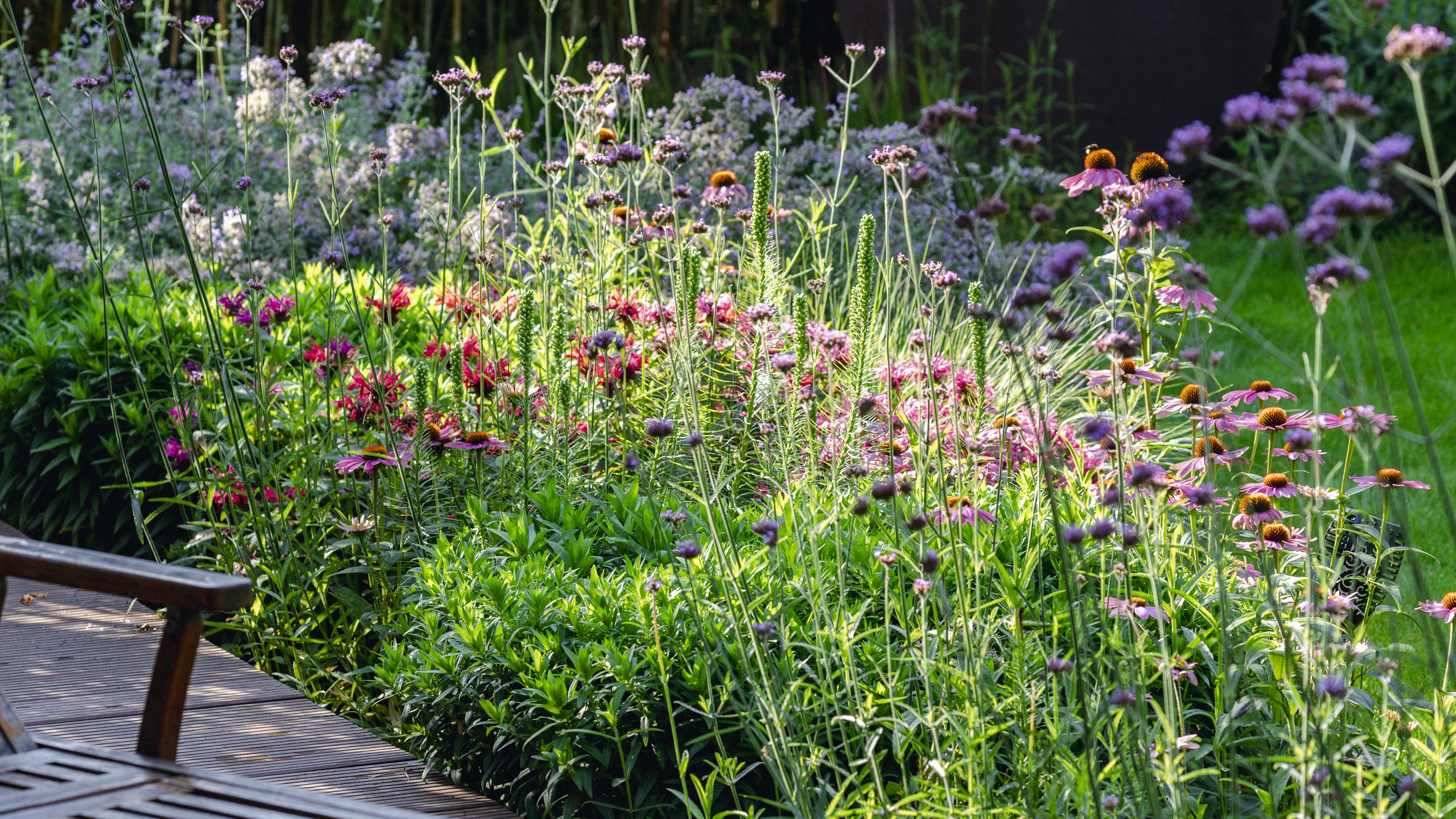 A flower border full of bright coneflower, verbena, and more blooms in the summer