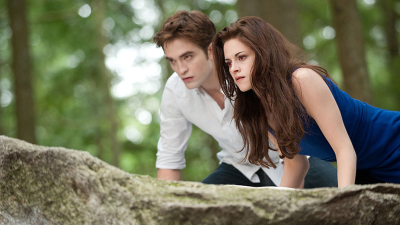 A still from Twilight Breaking Dawn in which Bella and Edward are leaning on a branch and looking at something in a forest.
