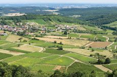View of Meloisey in the Hautes Côtes de Beaune region