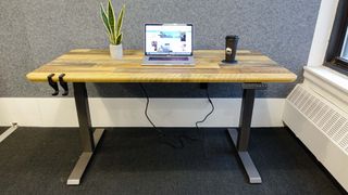 Vari Electric standing desk in office