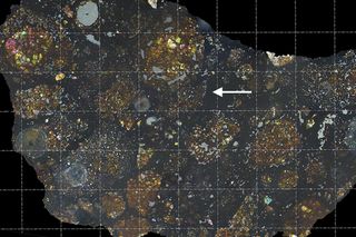 Scientists found the carbon-rich fragment of a comet embedded within a meteorite (at white arrow). The meteorite's colors can be seen by shining polarized light through a thin slice, and the grid lines show intervals of one millimeter.