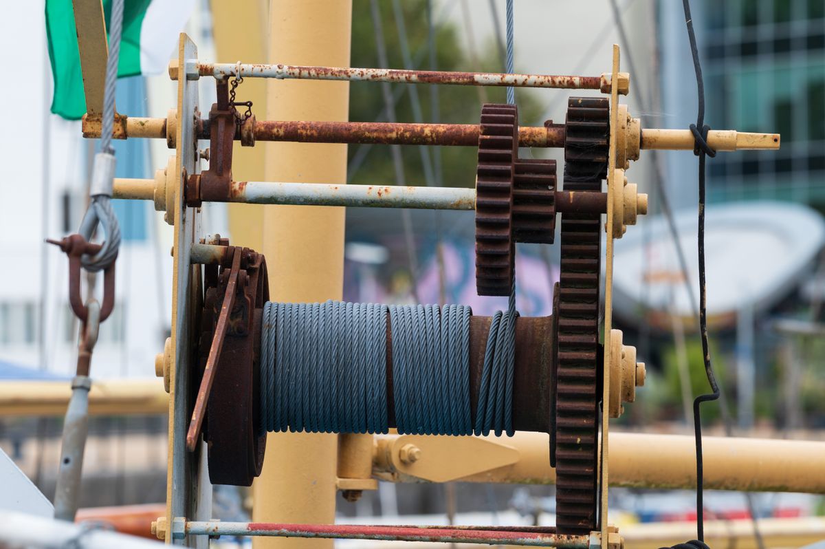 Laowa 200mm f/2 AF FF example shot