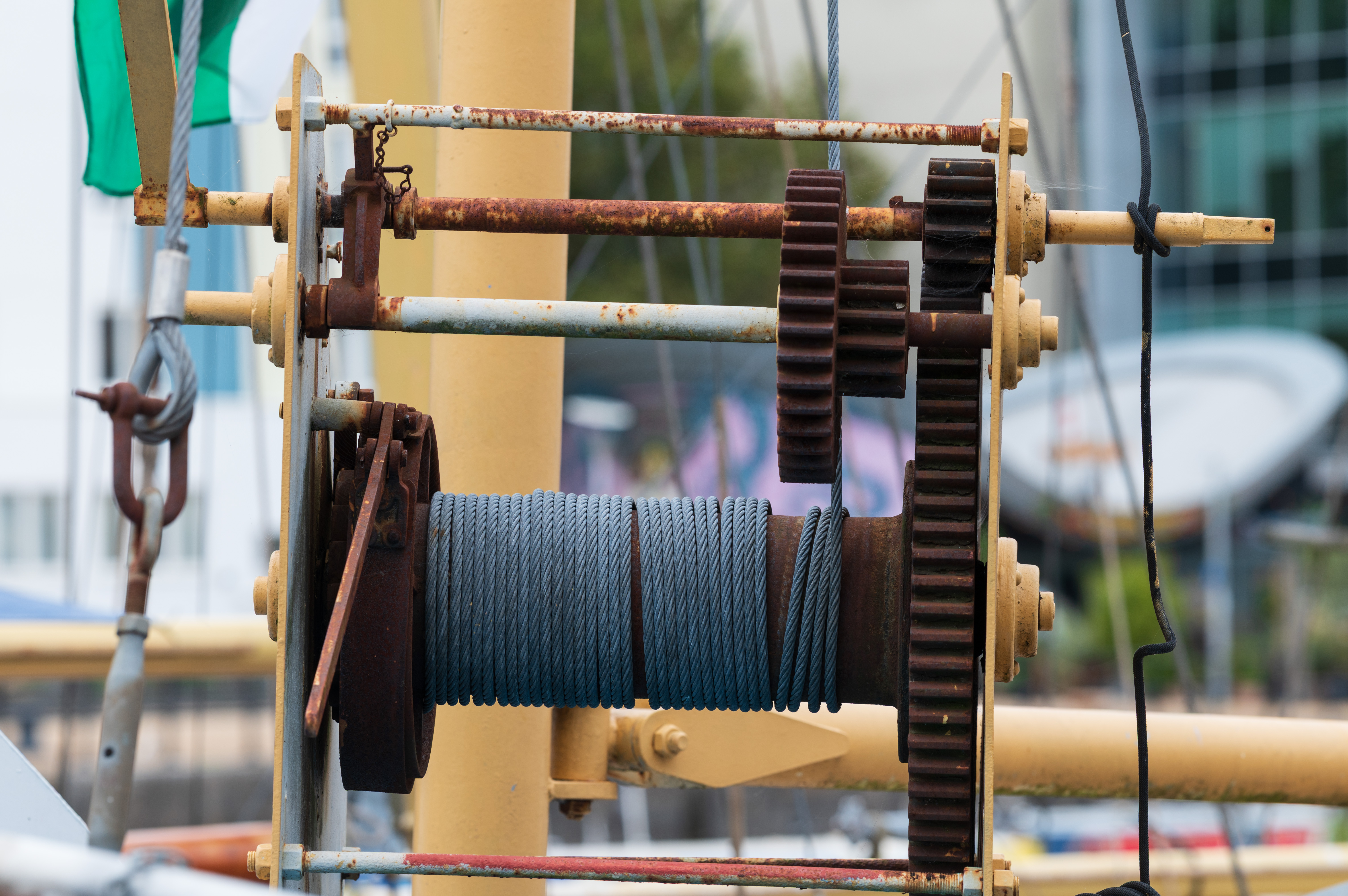 Laowa 200mm f/2 AF FF example shot