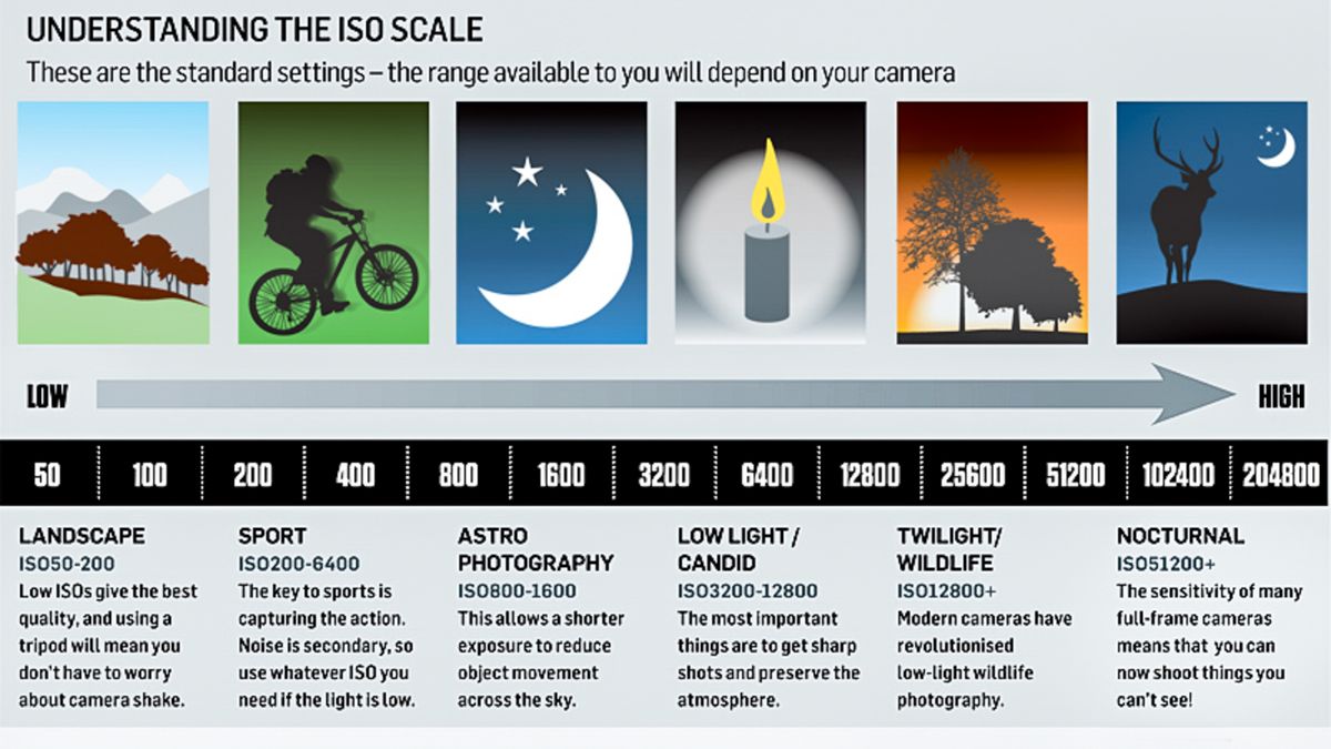 Photography cheat sheet: How to understand ISO settings