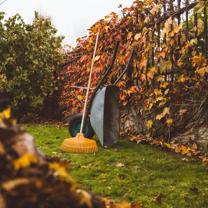 A garden in October with a rake and wheelbarrow