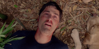 lost finale jack lying with dog