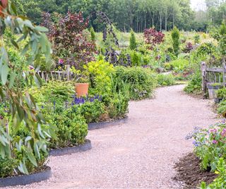 Pea gravel path with metal edging