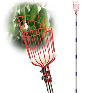 Donsail Fruit Picker Pole Tool With Basket Telescoping Long Handle, 35-65 Inch Adjustable Apple Orange Picker Pole Tool With Basket for Avocado Acorn Lemon Pear Mango Tree Picker